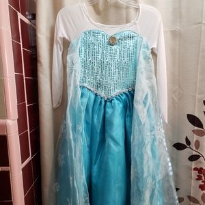 Disney Frozen Elsa Costume